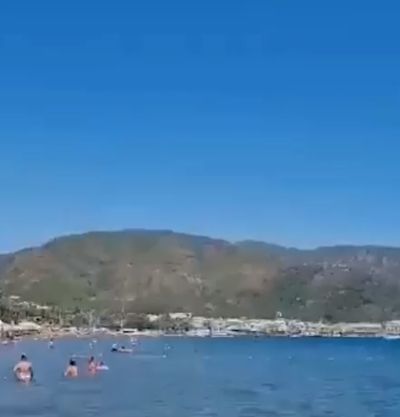 На пляже города Мармарис в Турции заметили акулу