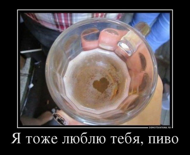 Сегодня отмечается «Международный день пива»