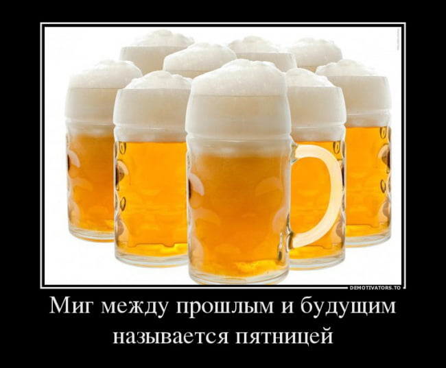 Сегодня отмечается «Международный день пива» evergreen,Всячина