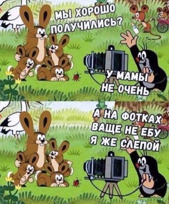https://korzik.net/uploads/posts/2022-08/17058866.jpg