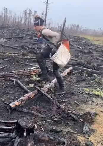 Посадка деревьев после пожара⁠⁠