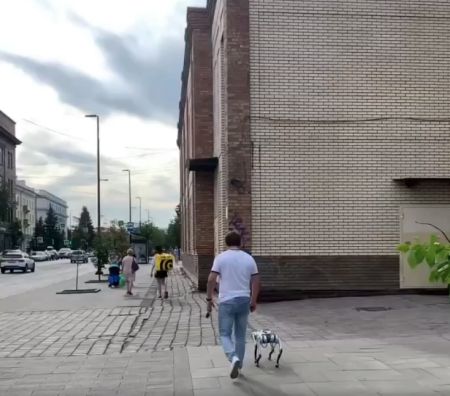 В Красноярске мужчина выгуливал своего необычного питомца