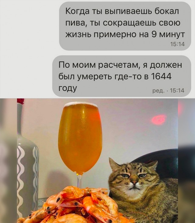 Шутки и мемы 18.09.2022 