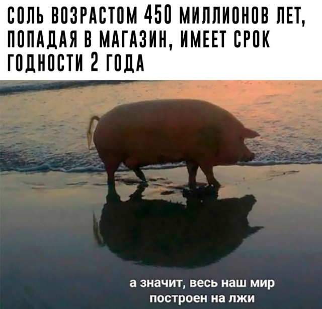 Шутки и мемы 18.09.2022 