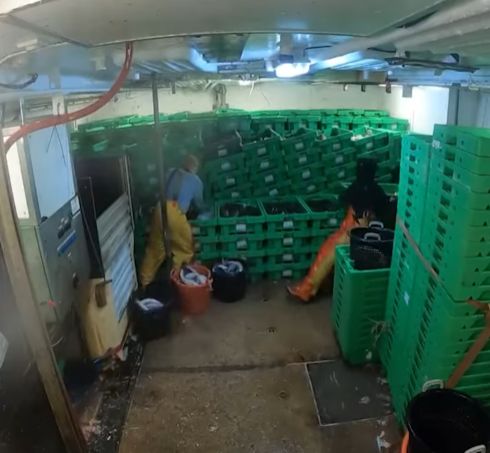 Как перевозят рыбу на корабле⁠⁠