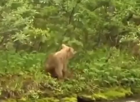 Кирпичей тут все накидали⁠⁠