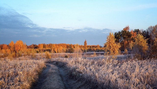 Поздней осенью в деревне Фотоподборка, первых, заморозков, глубинке