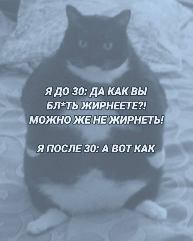 Шутки и мемы 26.10.2022 