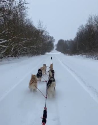 Отвлеклись на пешехода⁠⁠