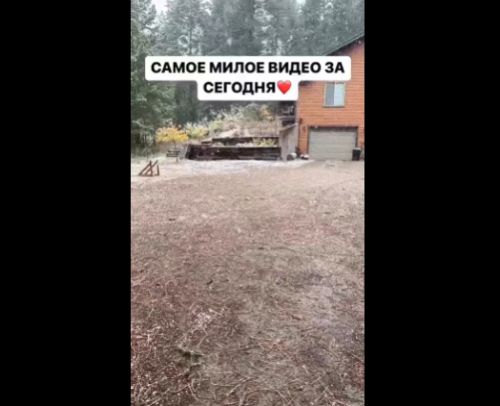 Доброе видео