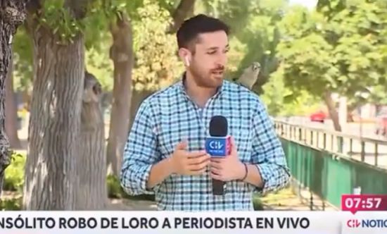 Случай в прямом эфире на испанском телевидении