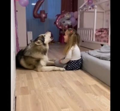 Девочка о чем-то беседует со своей собакой