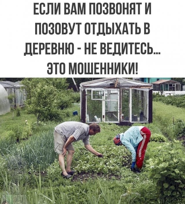 Шутки и мемы 08.11.2022 evergreen,Юмор