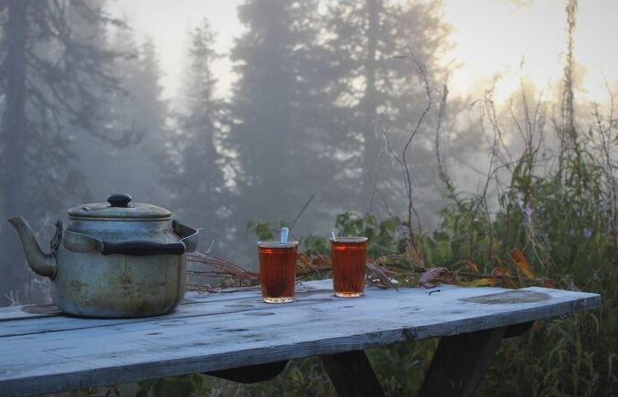 Утро в лесу⁠⁠ 