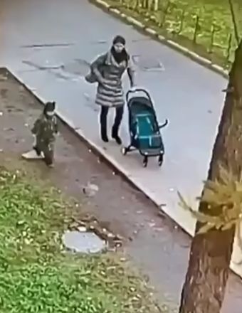 Материнский адреналин
