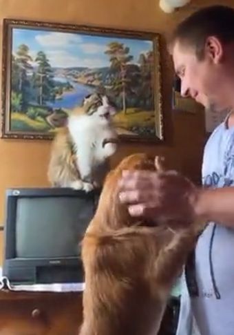 А как же я?!