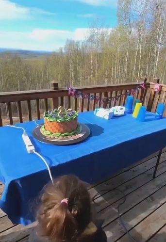 Необычный торт "Соник и Тейлз" на день рождения