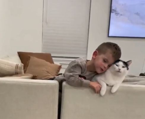 Кошки обожают детей