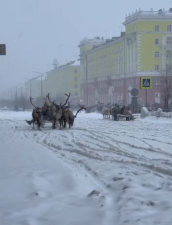 Это Норильск, детка!⁠⁠