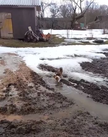 Хозяйка даже ругает с любовью!⁠⁠