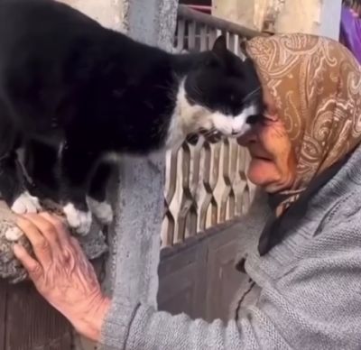 Бабушка и кот⁠⁠