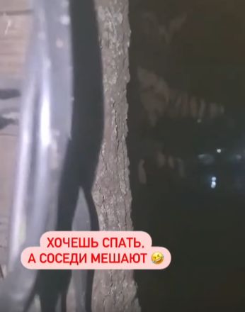 Главное в такт попасть⁠⁠