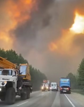 Лесные пожары в Тюменской области