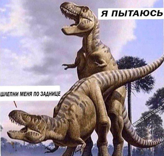 Смешные картинки