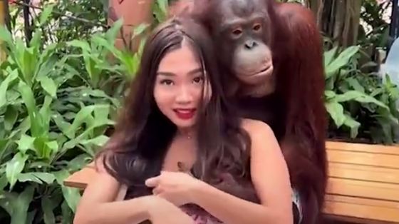 Обезьяна из тайского зоопарка лапает девушек за грудь на камеру