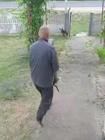 А вас не беспокоят забегающие к вам соседские собаки?