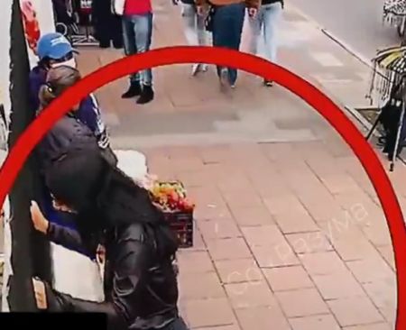 Различие между ботами и живыми игроками парка...