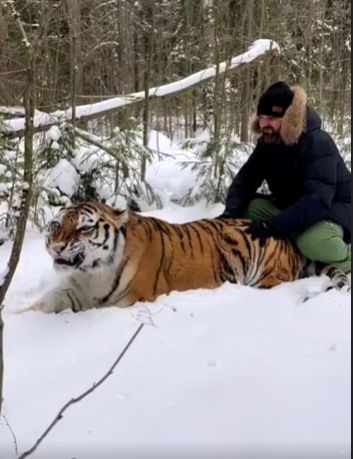 Когда ты один из опаснейших хищников , но любишь когда чешут жопку⁠⁠