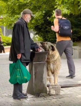 Спасибо, мужик⁠⁠