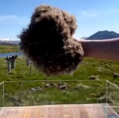 Невероятные гидрофобные свойства исландского гагачьего пуха⁠⁠