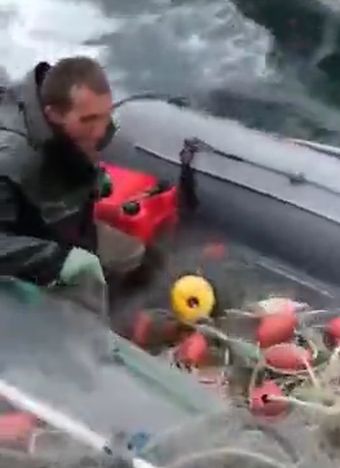 Рыбаков с неводом поймали с поличным
