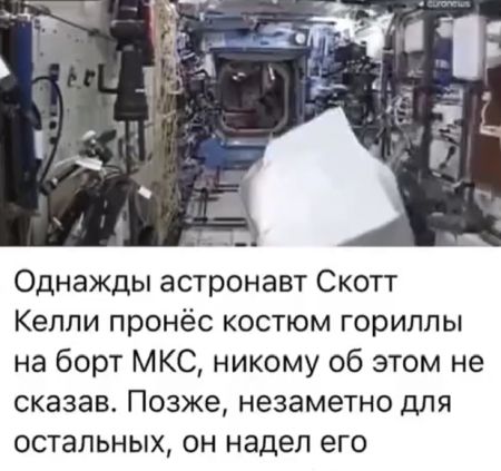 С таким коллегой не соскучишься⁠⁠