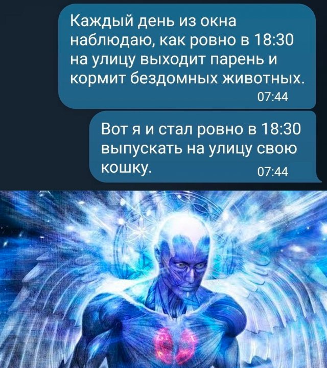 Приколы и картинки 11.07.2023