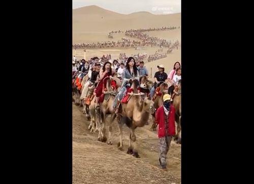 Китайская экскурсия по безлюдной пустыне