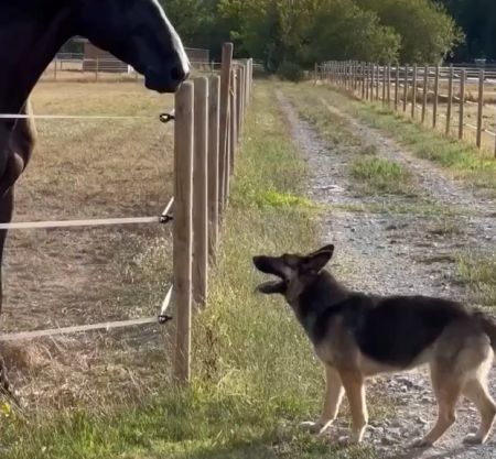 – А давай наперегонки?⁠⁠