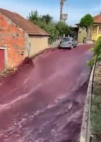 Пятница началась в понедельник. В португальском городе Анадия лопнули резервуары с вином и теперь на улицах винный потоп