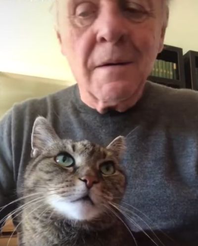 Суровый кот и с дедулей⁠⁠