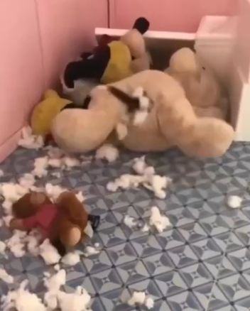 Не хотелось бы увидеть такое ночью⁠⁠