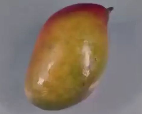 Как вырастить манго⁠⁠