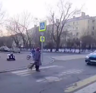 Бабушка в России помогает роботу-курьеру перейти дорогу