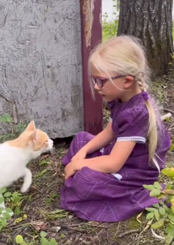 Кошка знакомит своего котенка с девочкой⁠⁠