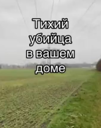 Тихий убийца