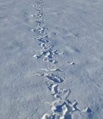 Аномальные следы на льду⁠⁠