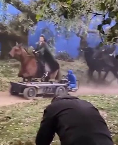 Как снимают сцены с лошадьми в кино