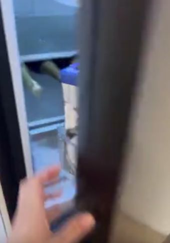 Когда открываешь холодильник