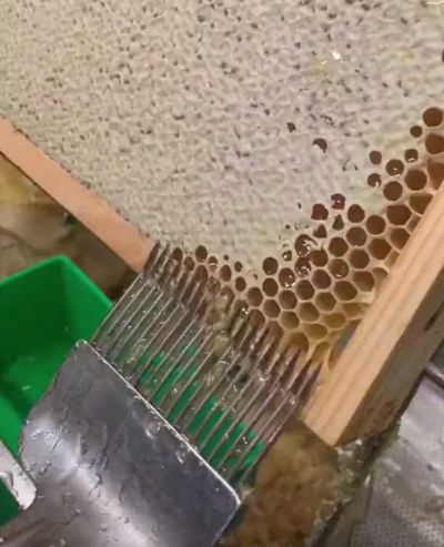 Пчеловод снимает восковые крышки с сот перед извлечением меда⁠⁠